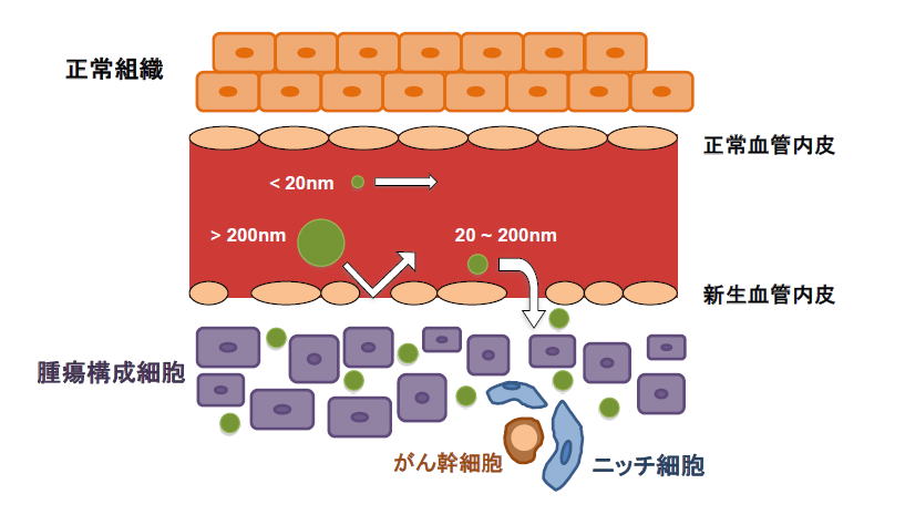 光免疫療法とｌｄ光源 半導体レーザ レーザ制御 メカ制御 安全安心ものづくり
